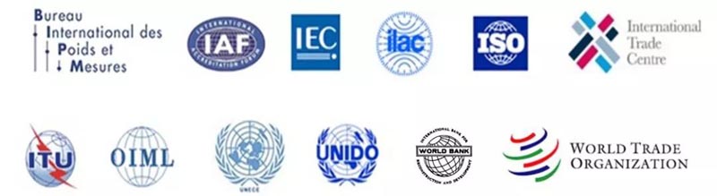 12個國際組織重申通過全球網絡促進